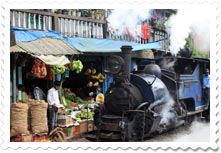Darjeeling toy train with steam engine