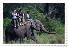 Elephant Safari at Jaldapara National Park