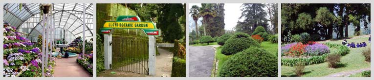 Lloyd's Botanical Gardens, Darjeeling