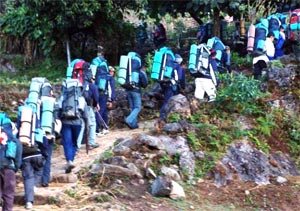 Trekking in Darjeeling